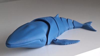 Baleine à bosse articulée