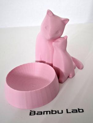 Chats ecuelle