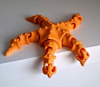 Etoile de mer articulée 15
