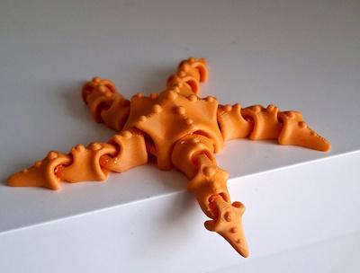 Etoile de mer articulée 10