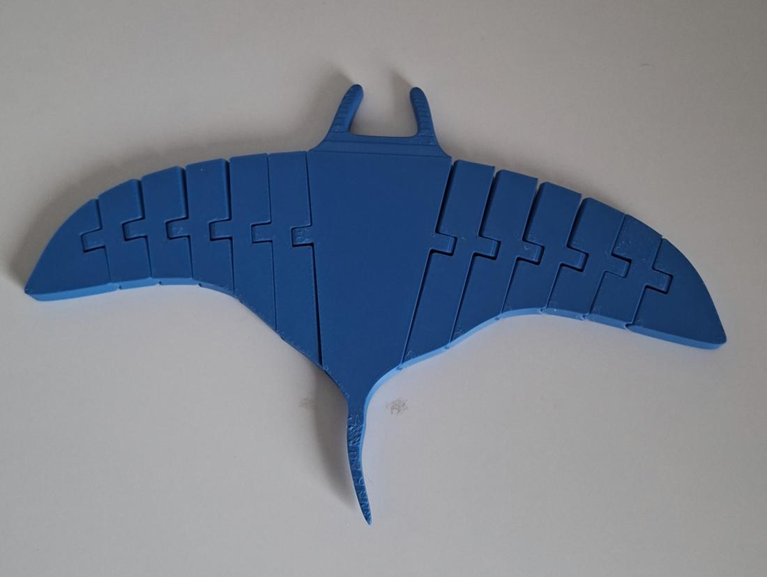 Raie Manta articulée