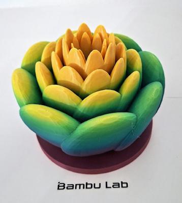 Nénuphar