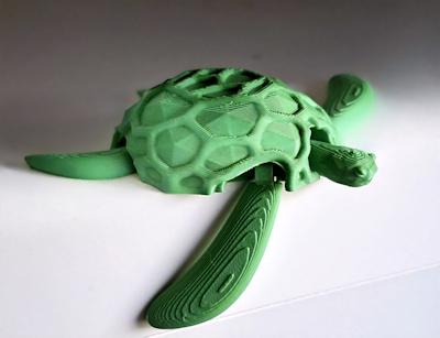 Tortue Voro articulée