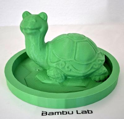 Tortue sur herbe