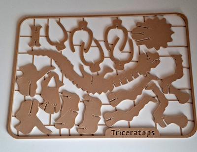 Triceraptos à monter